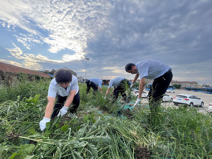 公交集團(tuán)公交事業(yè)一部清除場(chǎng)站雜草 為創(chuàng)文助力