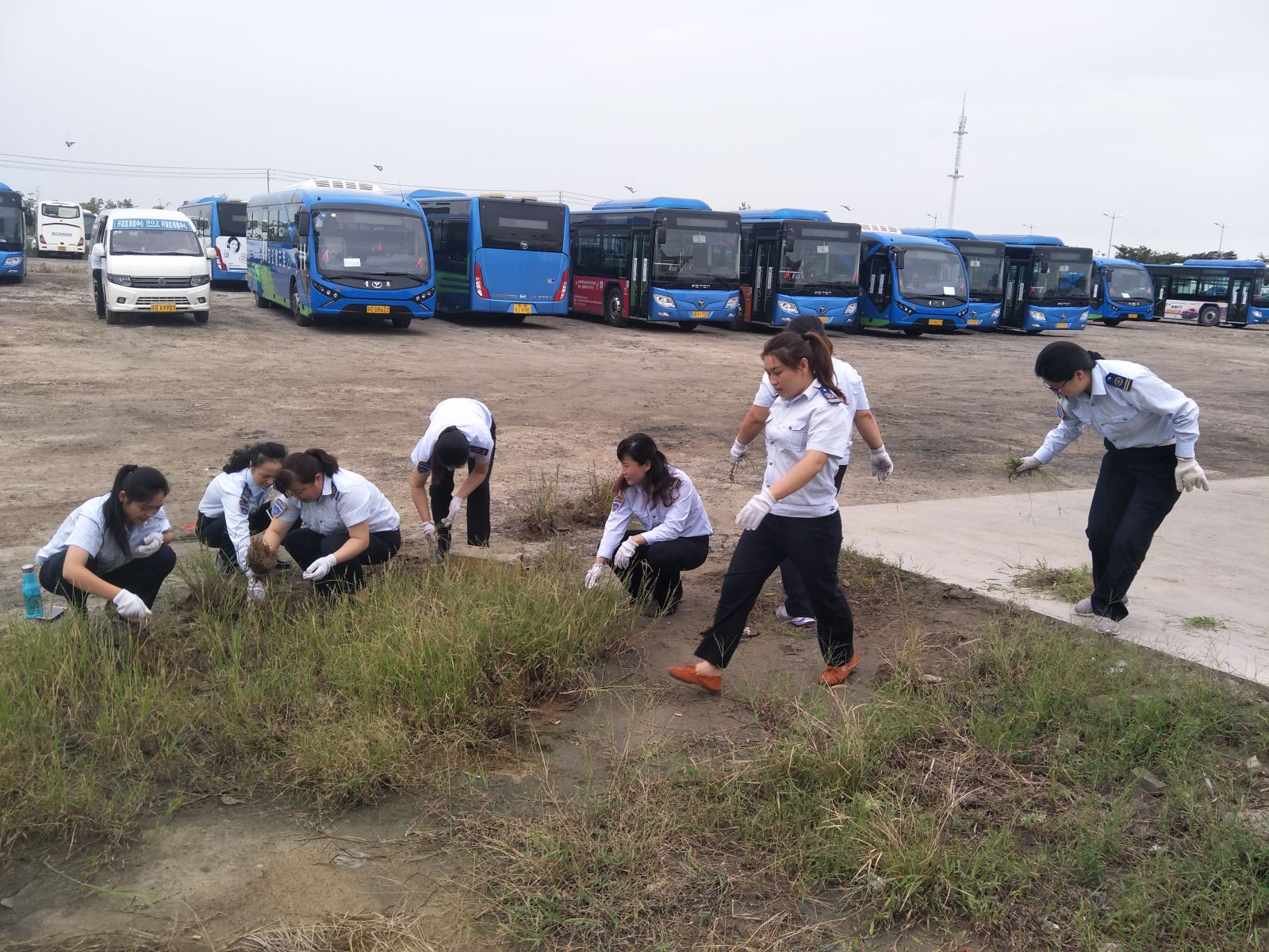 公交集團(tuán)佳連公司開展停車場拔草活動 為創(chuàng)文助力